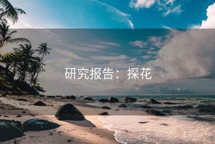 研究报告：探花