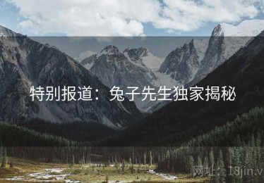 特别报道：兔子先生独家揭秘