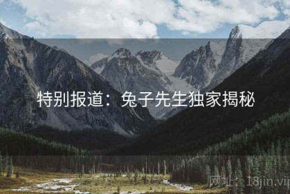 特别报道：兔子先生独家揭秘