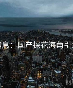 突发消息：国产探花海角引发关注