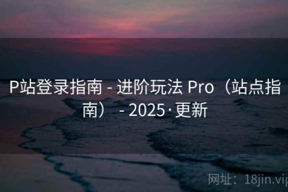 P站登录指南 - 进阶玩法 Pro（站点指南） - 2025·更新