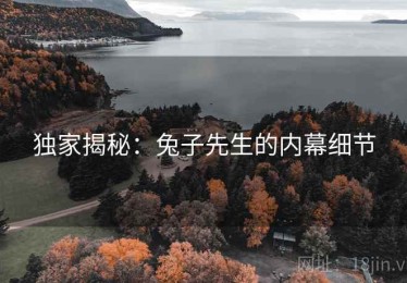 独家揭秘：兔子先生的内幕细节