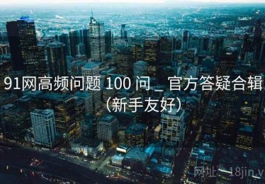 91网高频问题 100 问 _ 官方答疑合辑（新手友好）