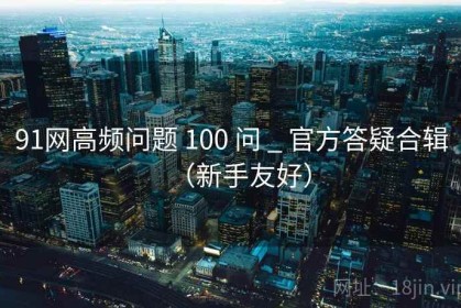91网高频问题 100 问 _ 官方答疑合辑（新手友好）