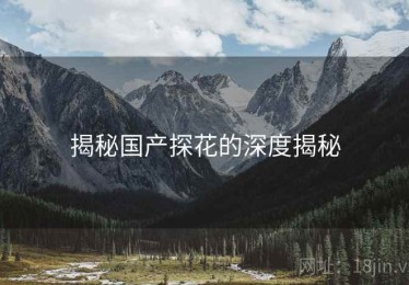 揭秘国产探花的深度揭秘