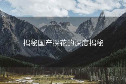 揭秘国产探花的深度揭秘