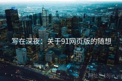 写在深夜：关于91网页版的随想