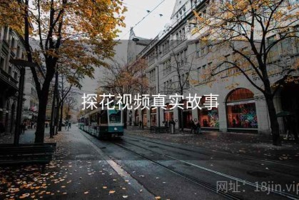 探花视频真实故事