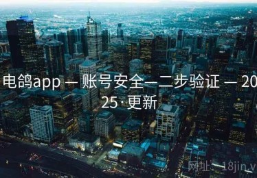 电鸽app — 账号安全—二步验证 — 2025·更新