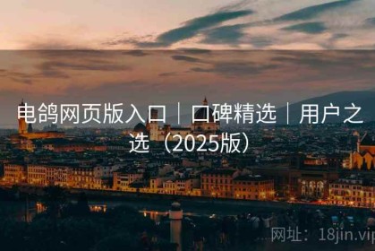 电鸽网页版入口｜口碑精选｜用户之选（2025版）