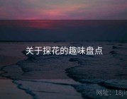 关于探花的趣味盘点