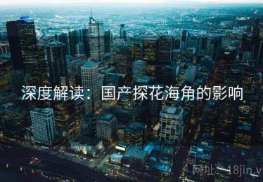 深度解读：国产探花海角的影响