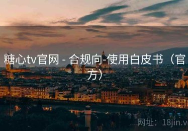 糖心tv官网 - 合规向-使用白皮书（官方）