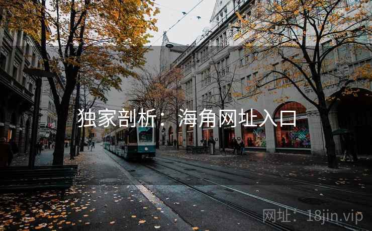 独家剖析：海角网址入口