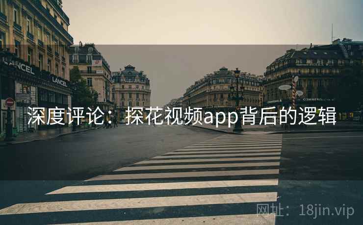 深度评论：探花视频app背后的逻辑