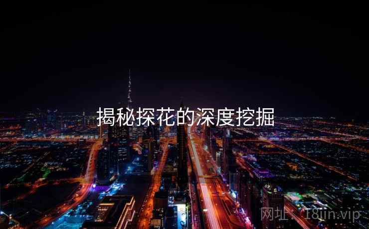 揭秘探花的深度挖掘