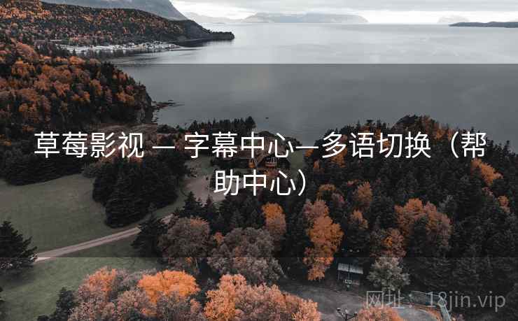 草莓影视 — 字幕中心—多语切换（帮助中心）